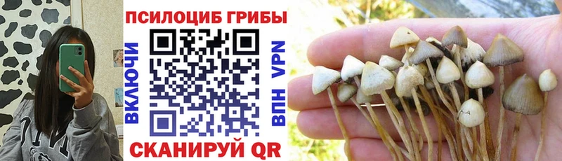 Псилоцибиновые грибы Psilocybine cubensis  kraken зеркало  Оха 